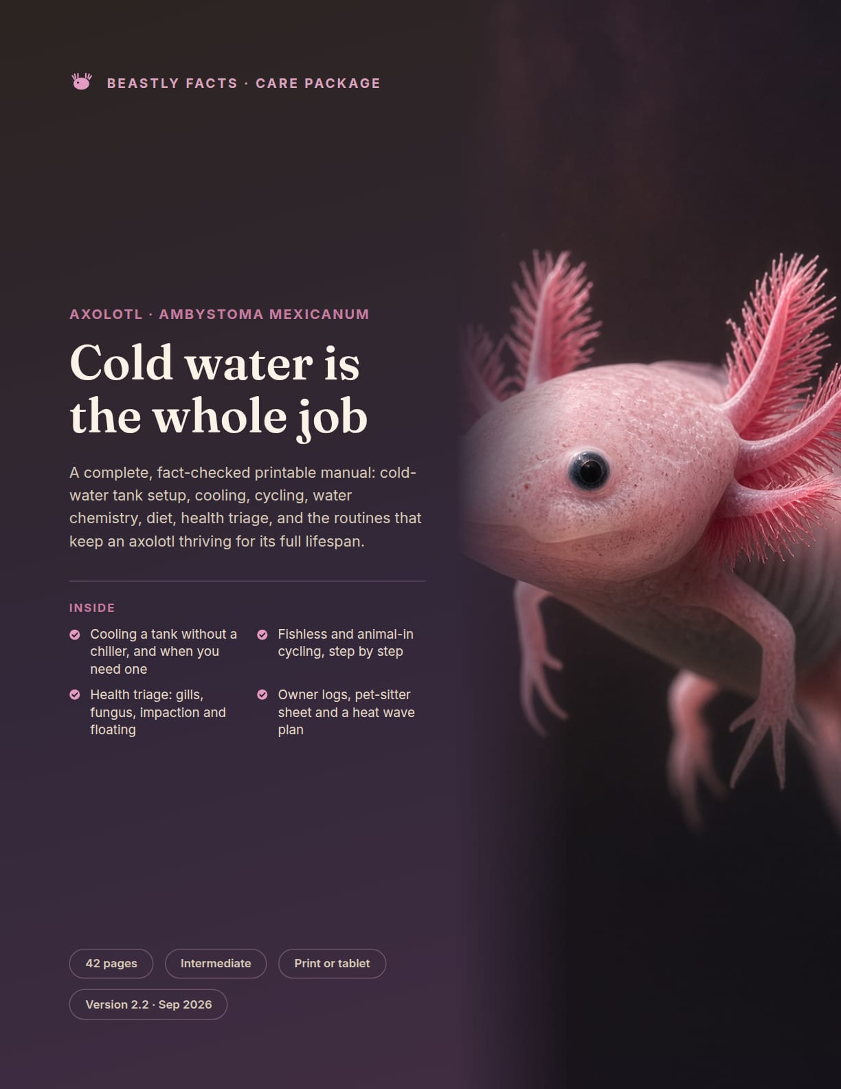 Axolotl Care Package cover