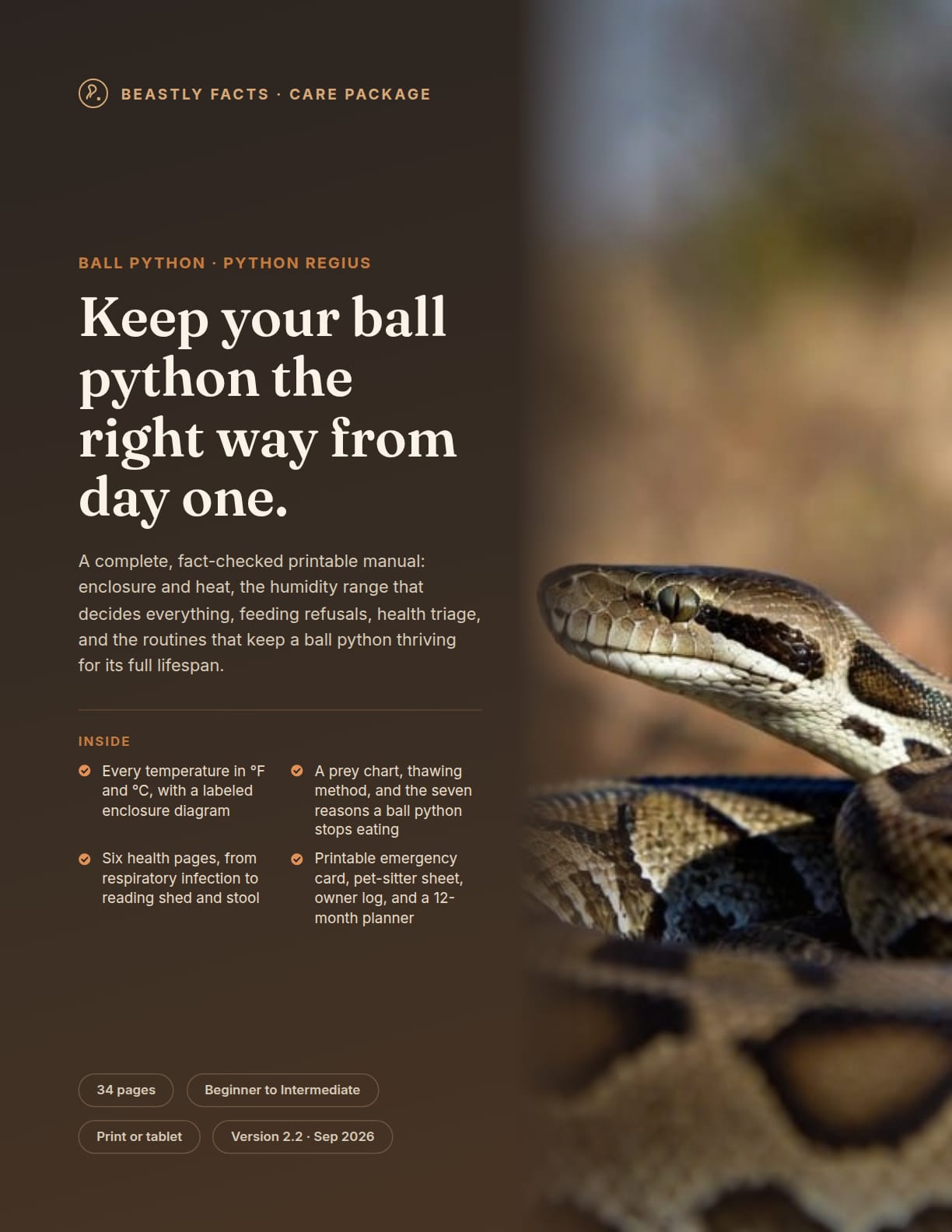Ball Python Care Package cover