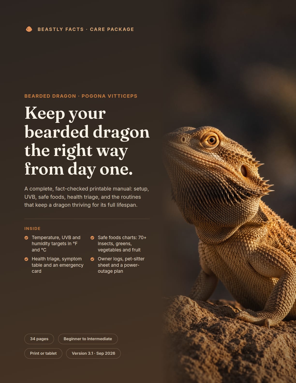 Bearded Dragon Care Package cover