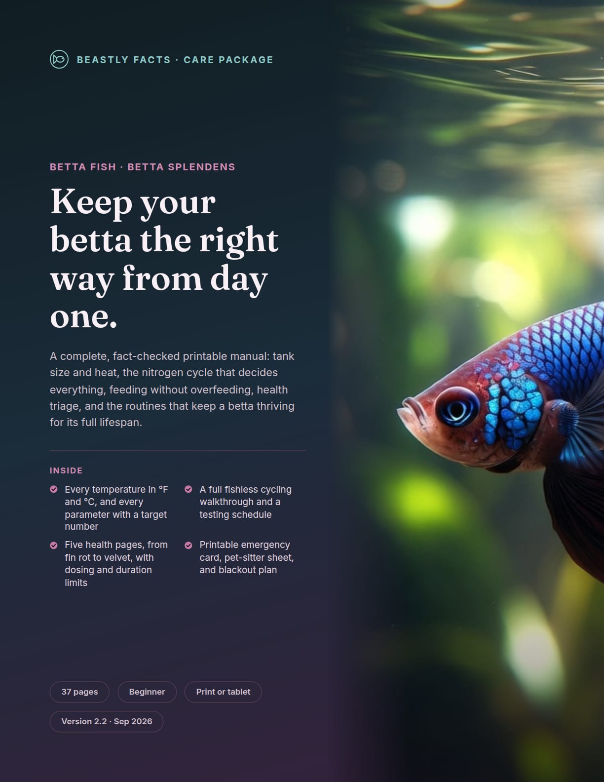 Betta Fish Care Package cover