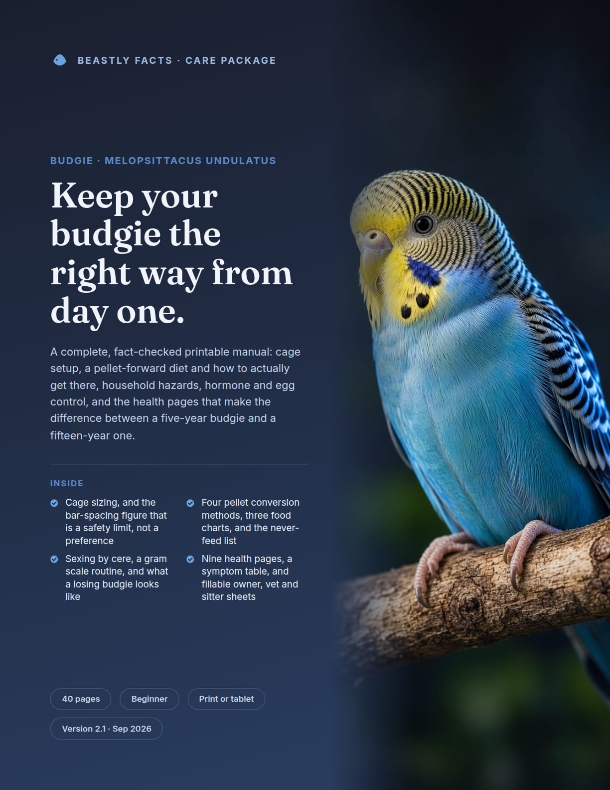 Budgie Care Package cover