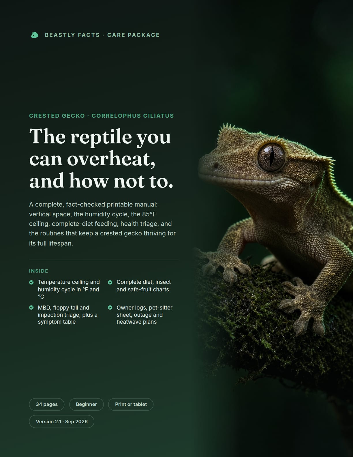 Crested Gecko Care Package cover