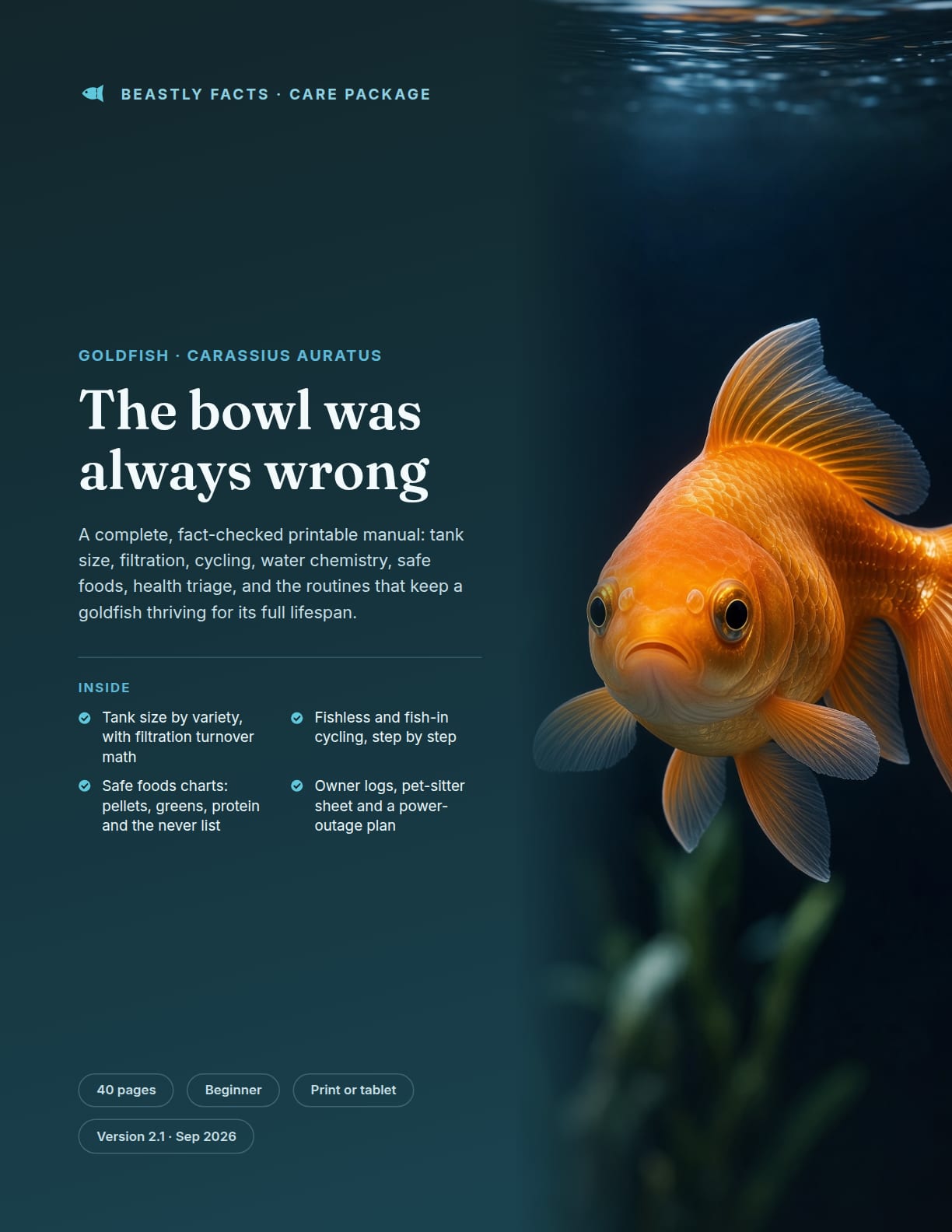 Goldfish Care Package cover