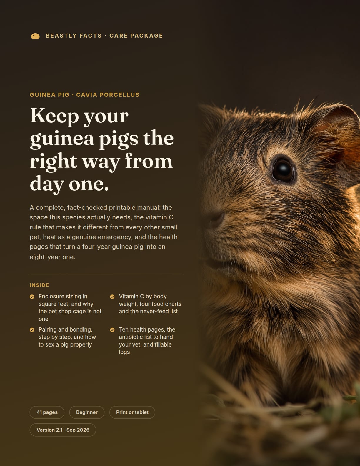 Guinea Pig Care Package cover