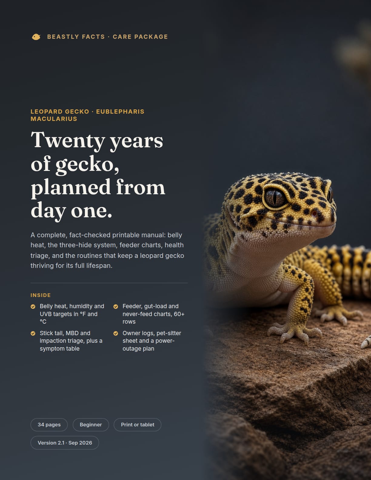 Leopard Gecko Care Package cover
