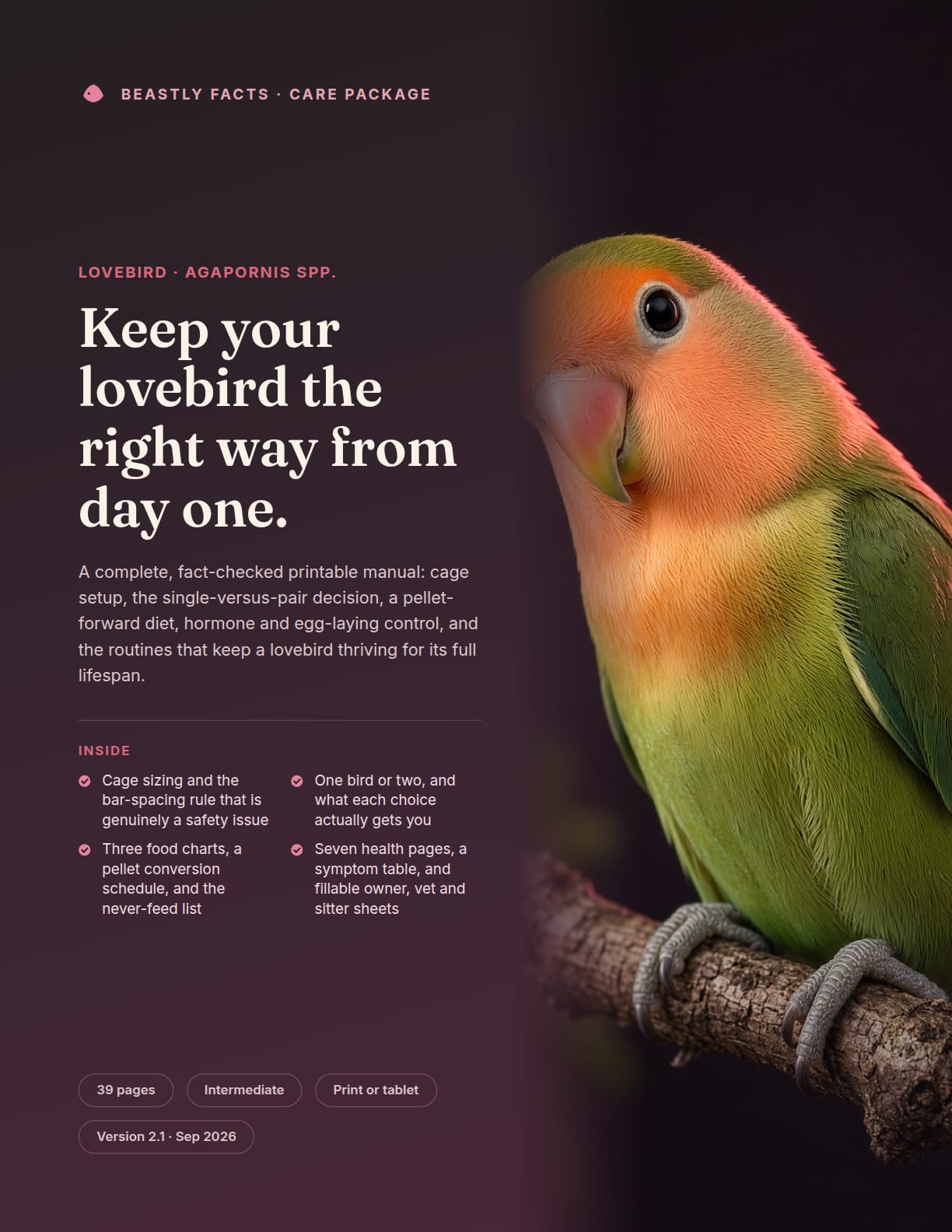 Lovebird Care Package cover