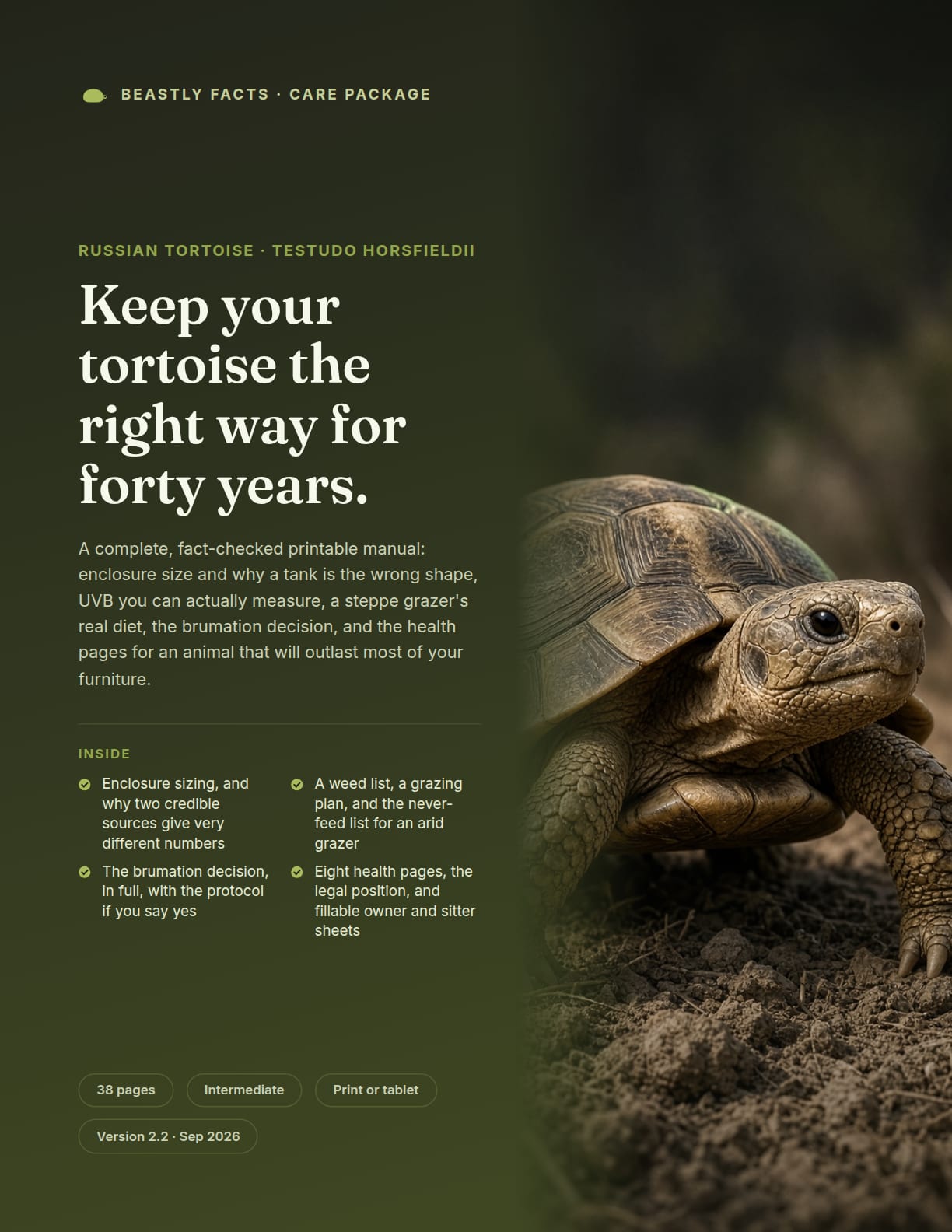 Russian Tortoise Care Package cover