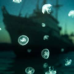 Jellyfish - A Silent Worldwide Invasion