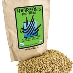Harrison's Adult Lifetime Fine Bird Food, Organic (1 lb)