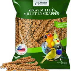 Living World Millet Spray (17.6 oz)