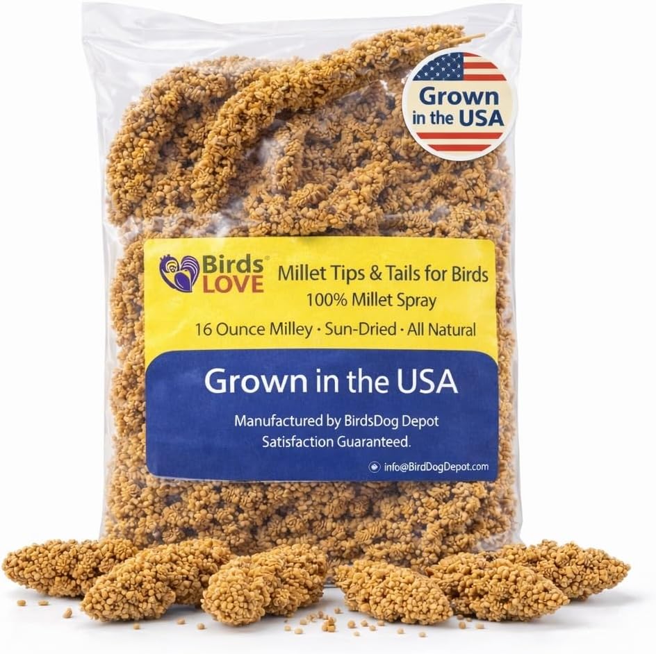 Birds LOVE Millet Tips & Tails, USA-Grown (1 lb)