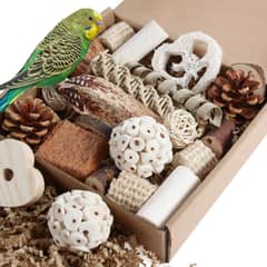Kyouki Natural Foraging Box Toy