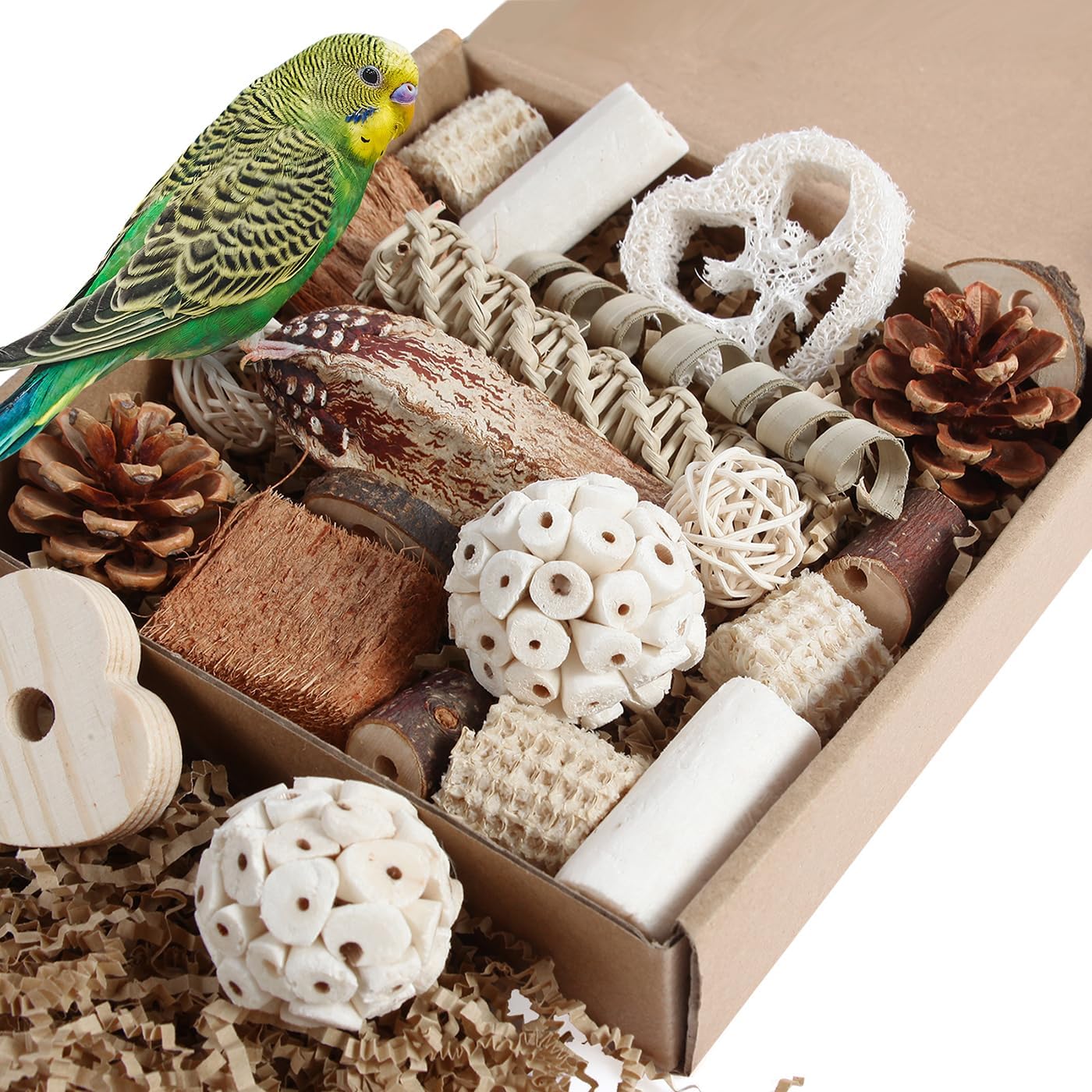 Kyouki Natural Foraging Box Toy