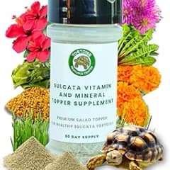 Sulcata Tortoise Calcium & Multivitamin Powder - Herpetologist Formulated Vitamin and Mineral Powder for Reptiles with High Fiber - 30 Day Supply in Shaker Bottle for Tortoise Lovers!