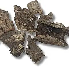 Cork Bark Bits - for Orchids, Airplants, Reptiles, Frogs, Springtails, Isopods, Terrariums, and Crafts (8)