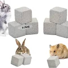 PINVNBY 9 Pcs Lava Blocks for Chinchillas, Hamster Chew Stones Square Mineral Calcium Bunny Teeth Pumice Grinding Chew Toys for Guinea Pig Rat Rodent