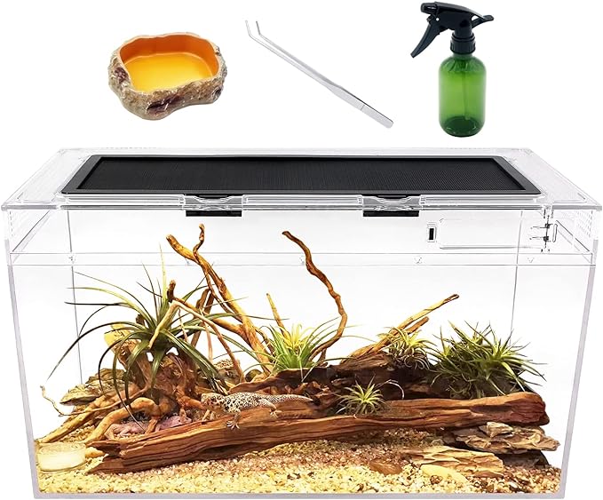 Reptile Growth Reptile Terrarium, 10 Gallon Tank 20" x 10" x 11" for Invertebrates
