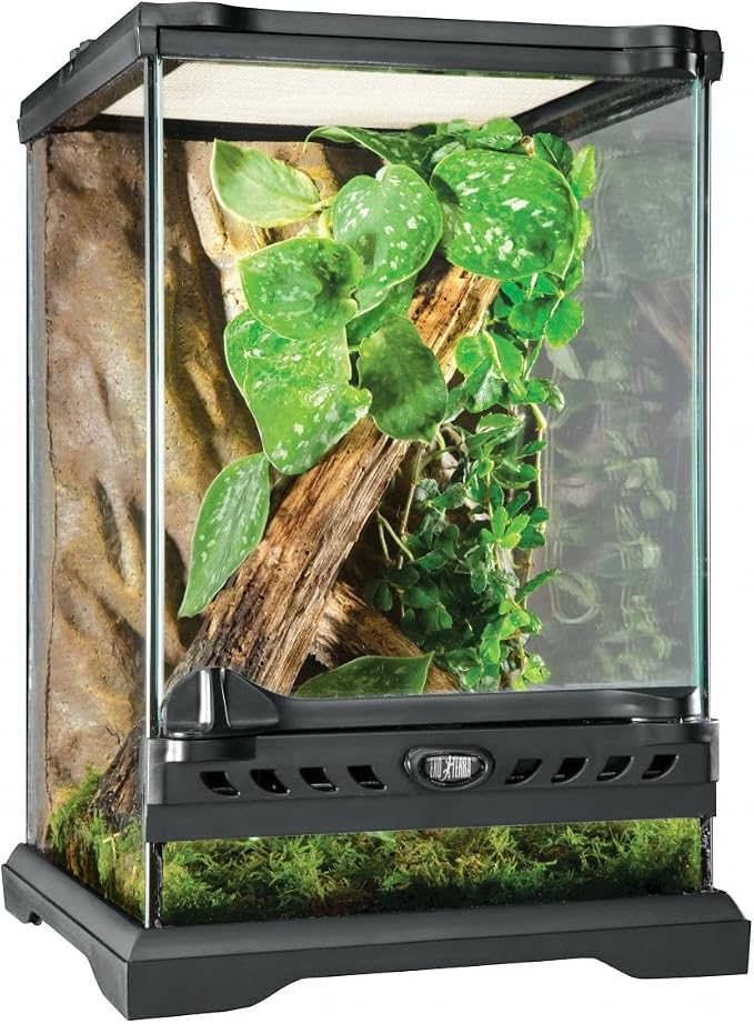 Exo Terra Glass Nano Terrarium Kit, 8 x 8 x 12 in