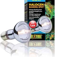 Exo Terra Sun Glo Halogen Basking Spot Lamp, 50W