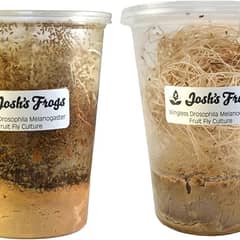 Josh's Frogs Drosophila Melanogaster Fruit Fly Culture Combo (2 Pack)