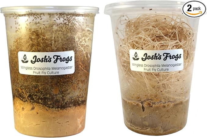 Josh's Frogs Drosophila Melanogaster Fruit Fly Culture Combo (2 Pack)
