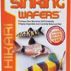 Hikari Tropical Sinking Wafers for Catfish, Loaches and Bottom Feeders, 3.88 oz