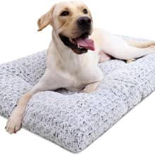 Crate pad/bed