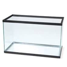10 gallon tank