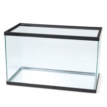 10 gallon tank