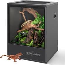 18x18x24 in glass terrarium (arboreal)