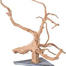 Driftwood