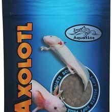 Soft Sinking Pellets for Axolotls