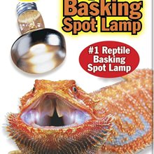Zoo Med Basking Spot Lamp (75W, 2 Pack)