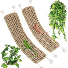 Bearded Dragon Hammock Kit, Natural Seagrass Fiber (2 Pack)