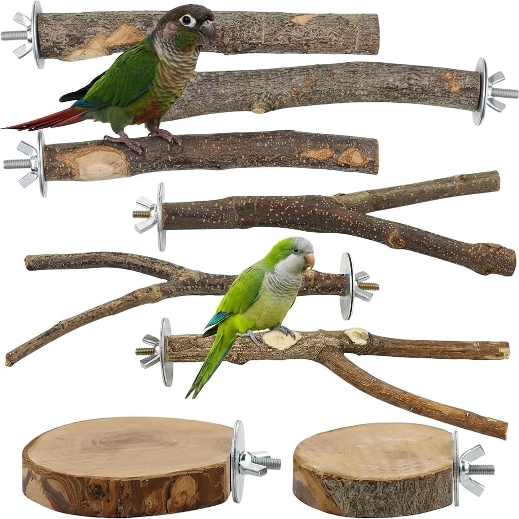 8-Piece Natural Wood Bird Perch Set (fork toys, hammock swing)