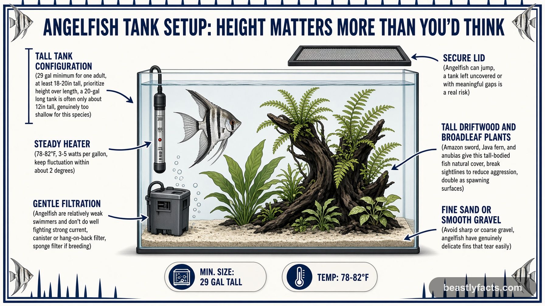Labeled diagram of a tall angelfish tank showing a secure lid, gentle filtration, and tall driftwood and plants