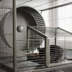 Chinchilla multi-level metal cage with solid shelves, a wheel, and a dust bath house