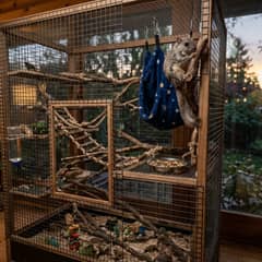 Flying squirrel cage with tall vertical climbing space, sleeping pouches, and an exercise wheel