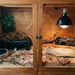 Milk snake enclosure with hides, a basking bulb, and a humid hide