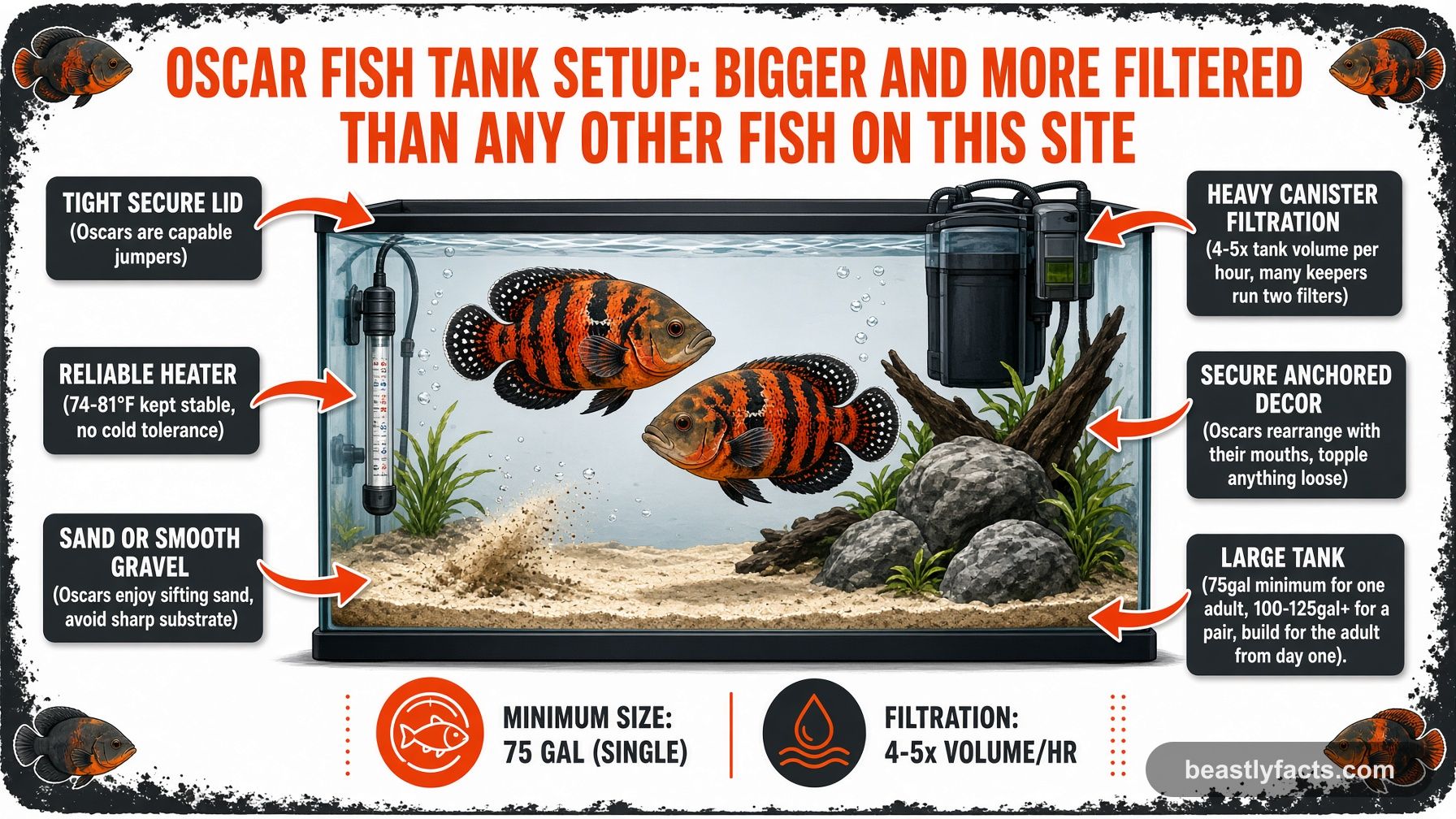 Labeled diagram of an Oscar fish tank showing heavy canister filtration, a secure lid, and anchored decor