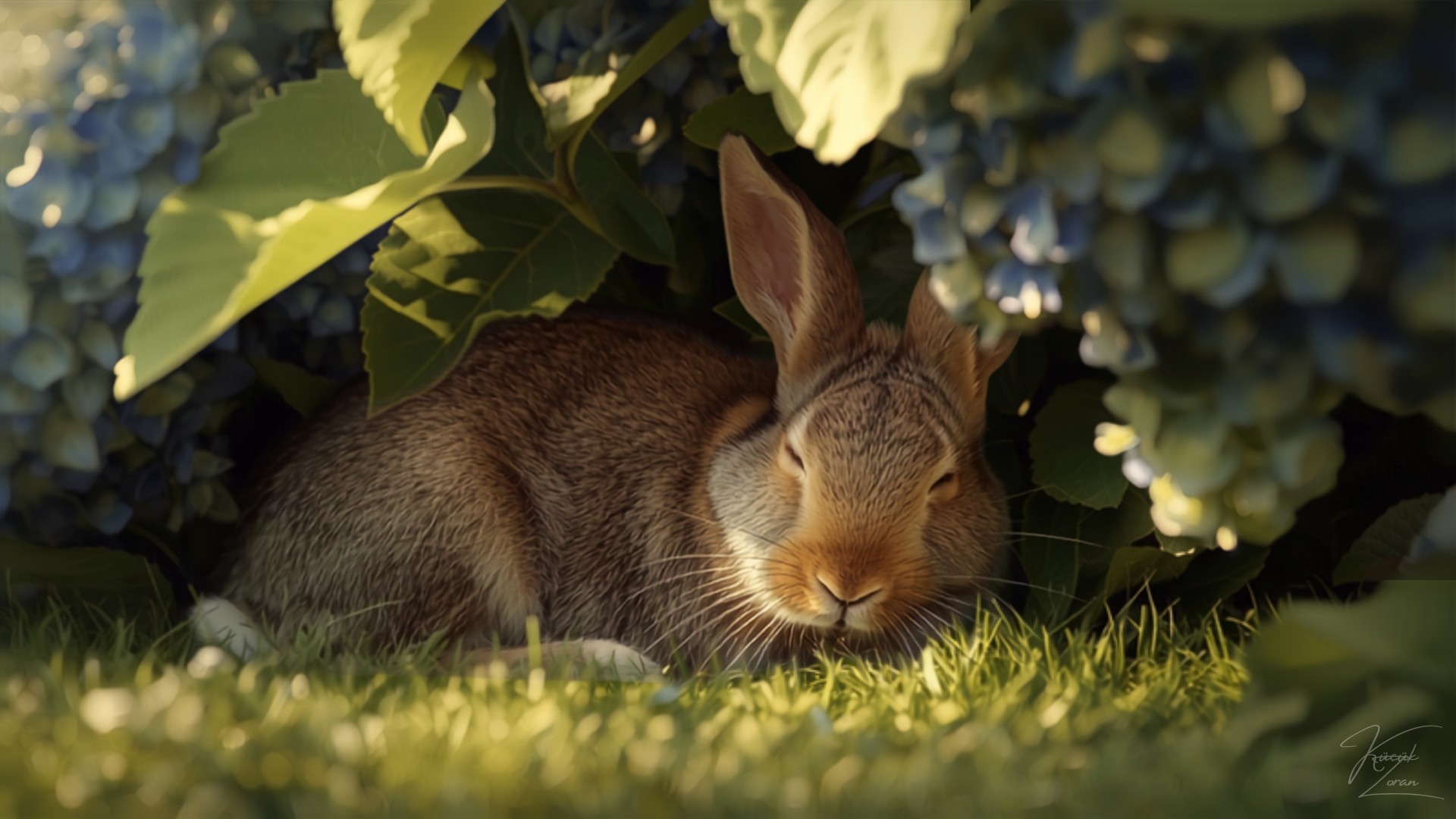 House rabbit dozing beneath the hydrangea, whiskers twitching as though lost in a vast and important dream