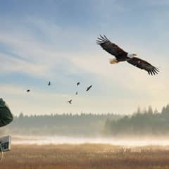 Ultimate Birdwatching Guide for Beginners (2026)