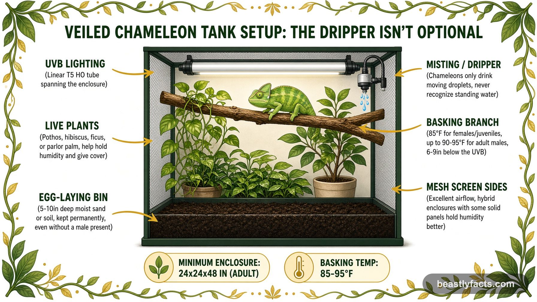 Labeled diagram of a veiled chameleon tank showing UVB lighting, a dripper system, live plants, and a permanent egg-laying bin